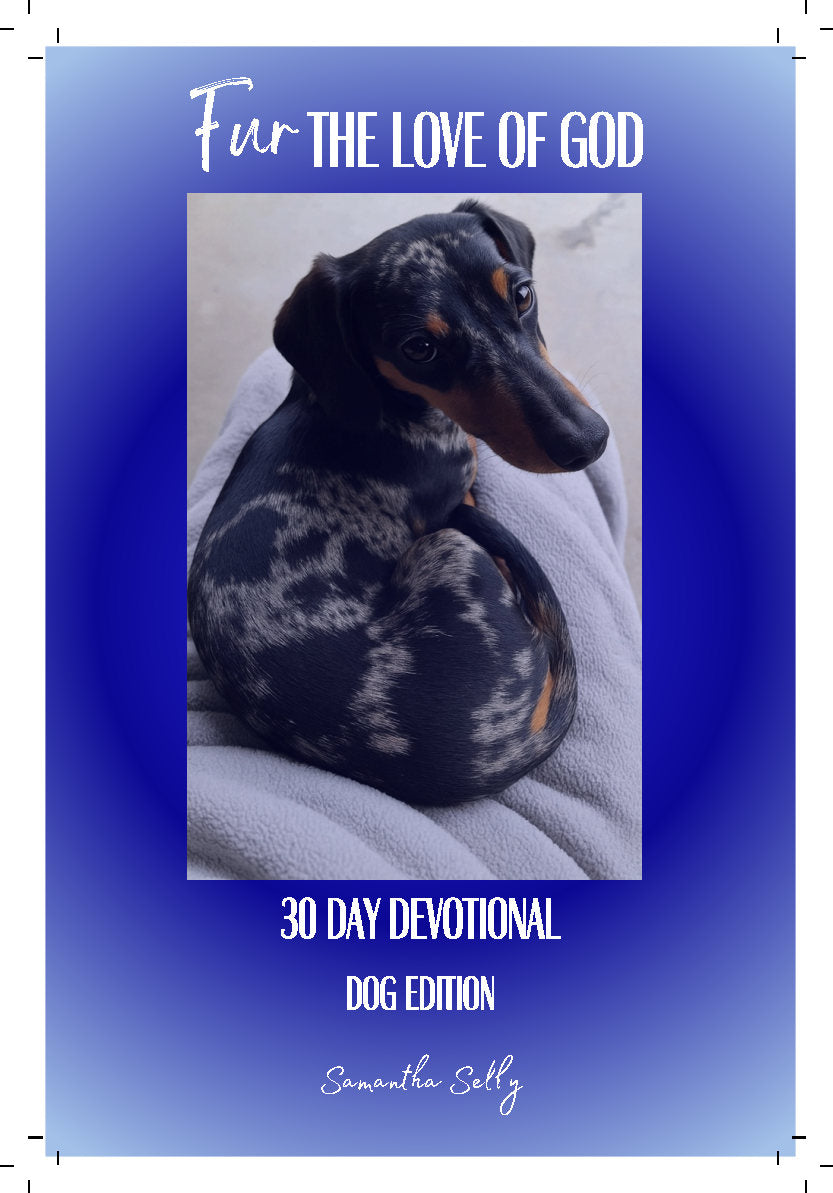 BOOKS, STATIONERY, HOME AND OFFICE