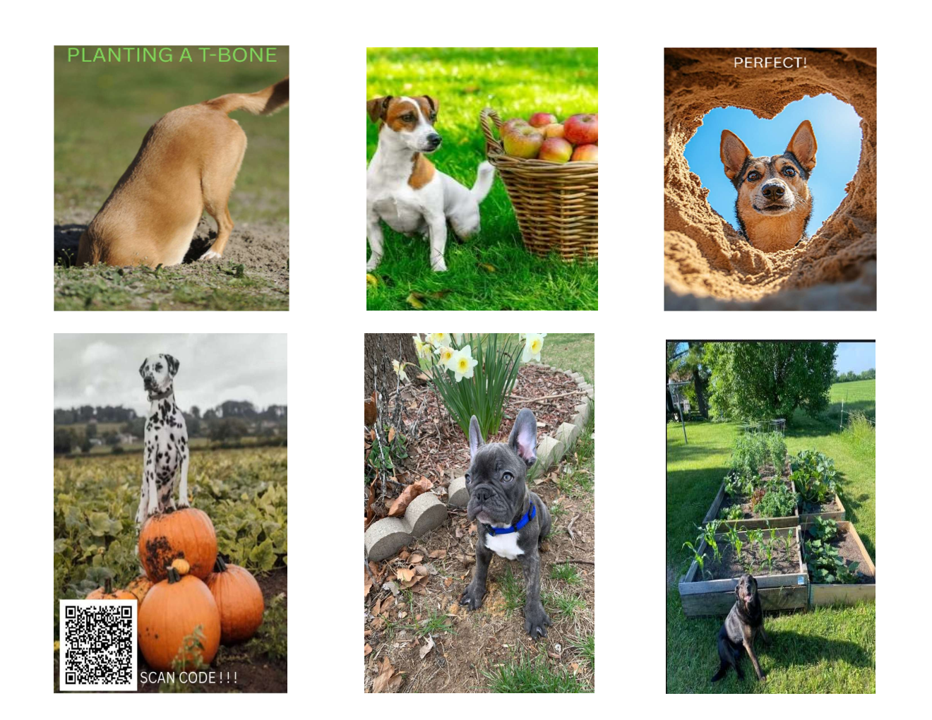 Fur the Love of God 2025-2026 SEASONS Calendar