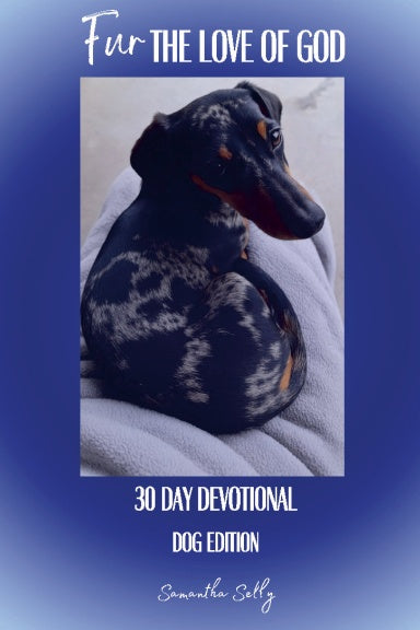 Book Cover Variant Thumbnail